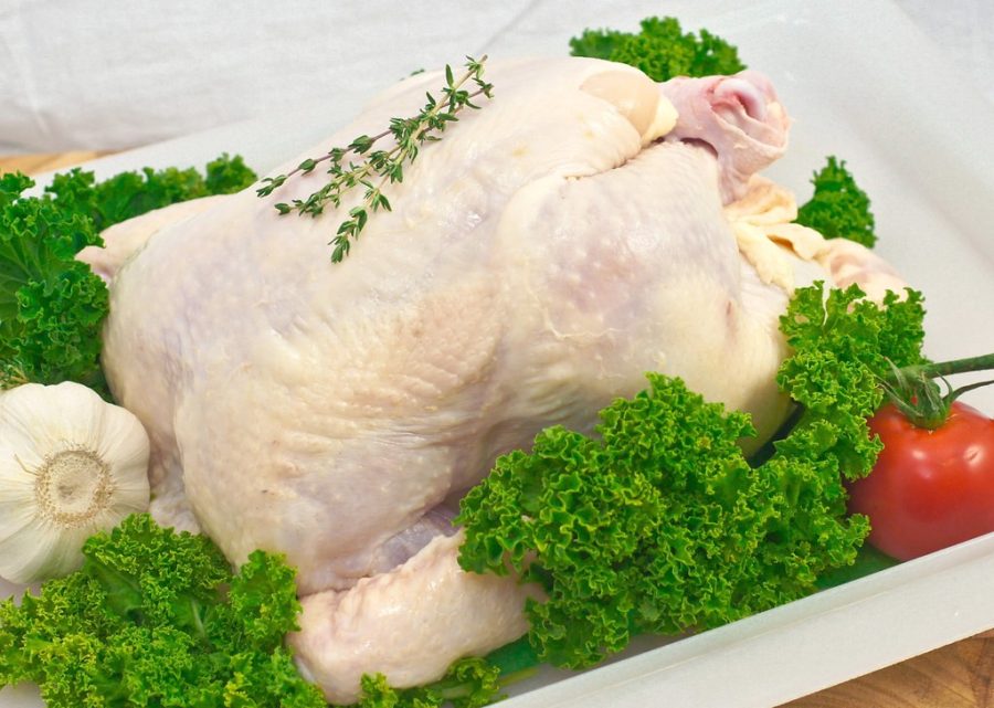 Ayam Broiler Utuh