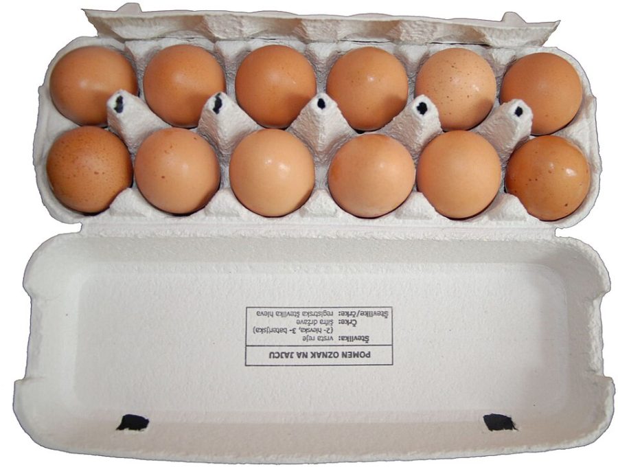 Telur Ayam Negeri